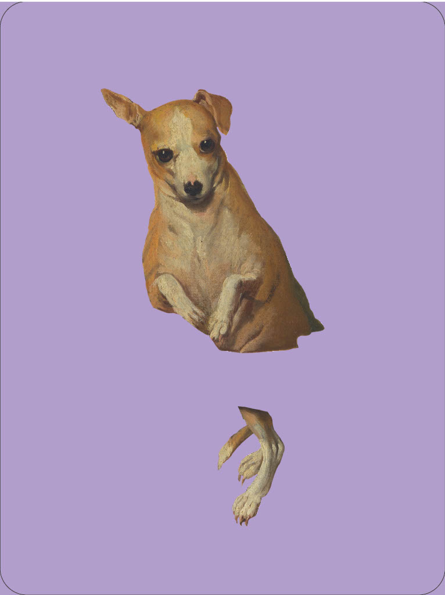 Animals Out of Art
