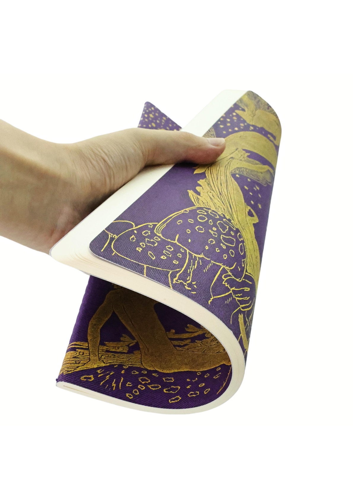 Violet Fairy A4 Lined Softcover Cahier, 80pg, 100GSM by Paperblanks (Lang's Fairy Books)