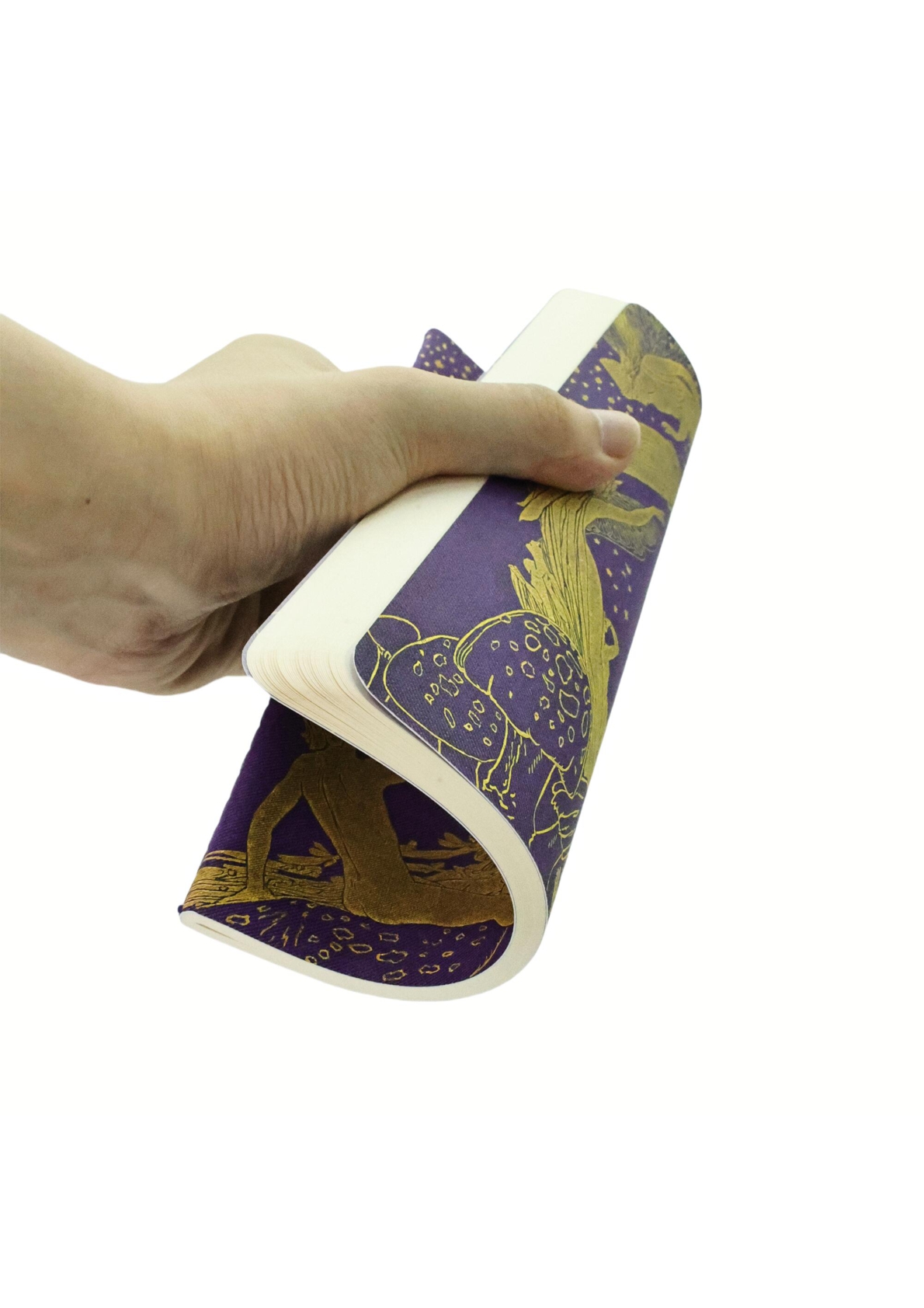 Violet Fairy A5 Unlined Softcover Cahier, 80pg, 100GSM by Paperblanks (Lang's Fairy Books)