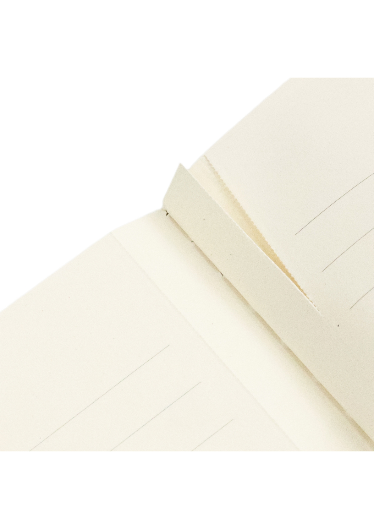 Violet Fairy A5 Unlined Softcover Cahier, 80pg, 100GSM by Paperblanks (Lang's Fairy Books)