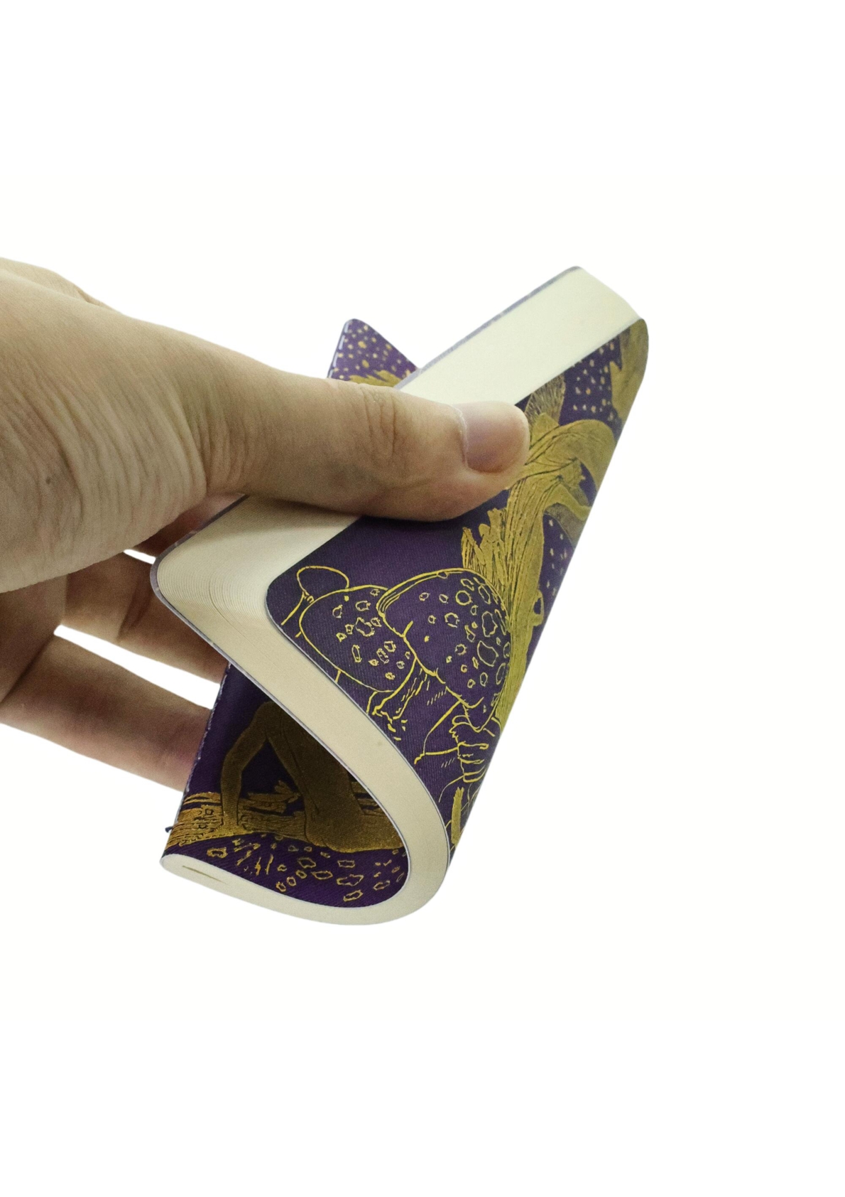 Violet Fairy A6 Unlined Softcover Cahier, 80pg, 100GSM by Paperblanks (Lang's Fairy Books)