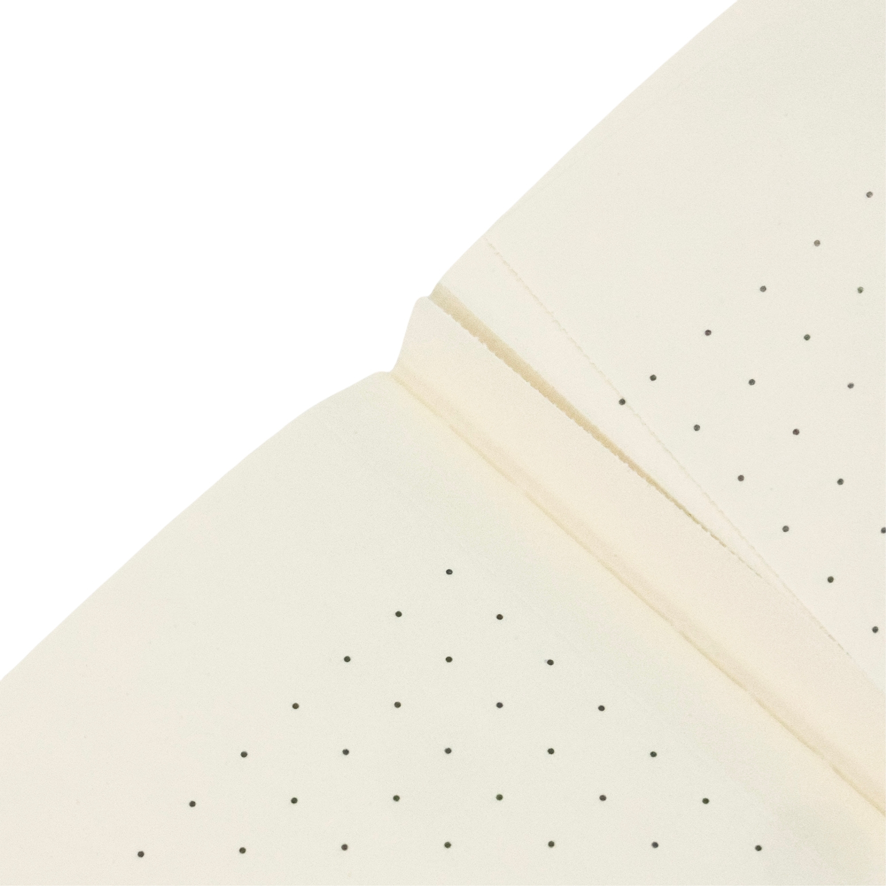 Fourth Wing Shadows of Navarre A4 Dot Grid Softcover Cahier, 80pg, 100GSM, Rebecca Yarros' Empyrean Collection by Paperblanks