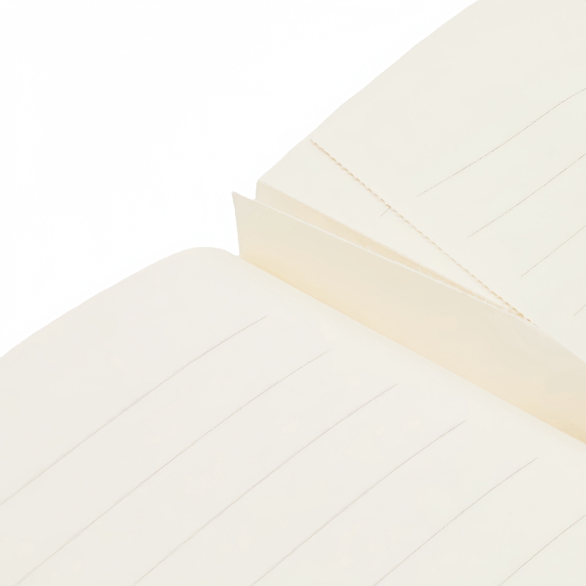 Fourth Wing Shadows of Navarre A5 Lined Softcover Cahier, 80pg, 100GSM, Rebecca Yarros' Empyrean Collection by Paperblanks