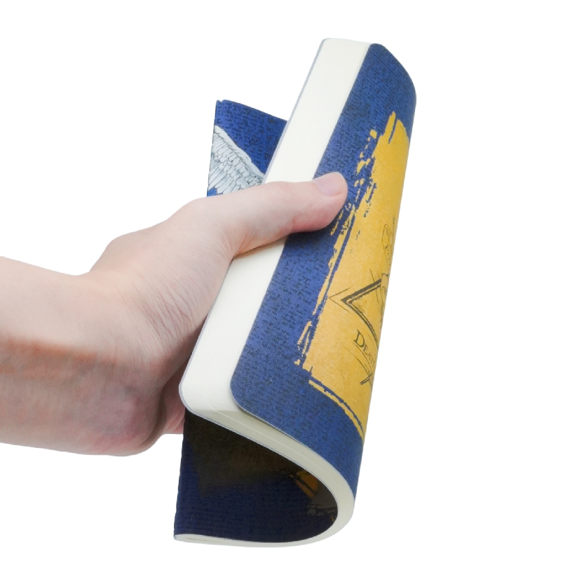 Moments of Magic Notebook A5 Unlined Softcover Cahier, 80pg, 100GSM by Paperblanks (Harry Potter Collection)