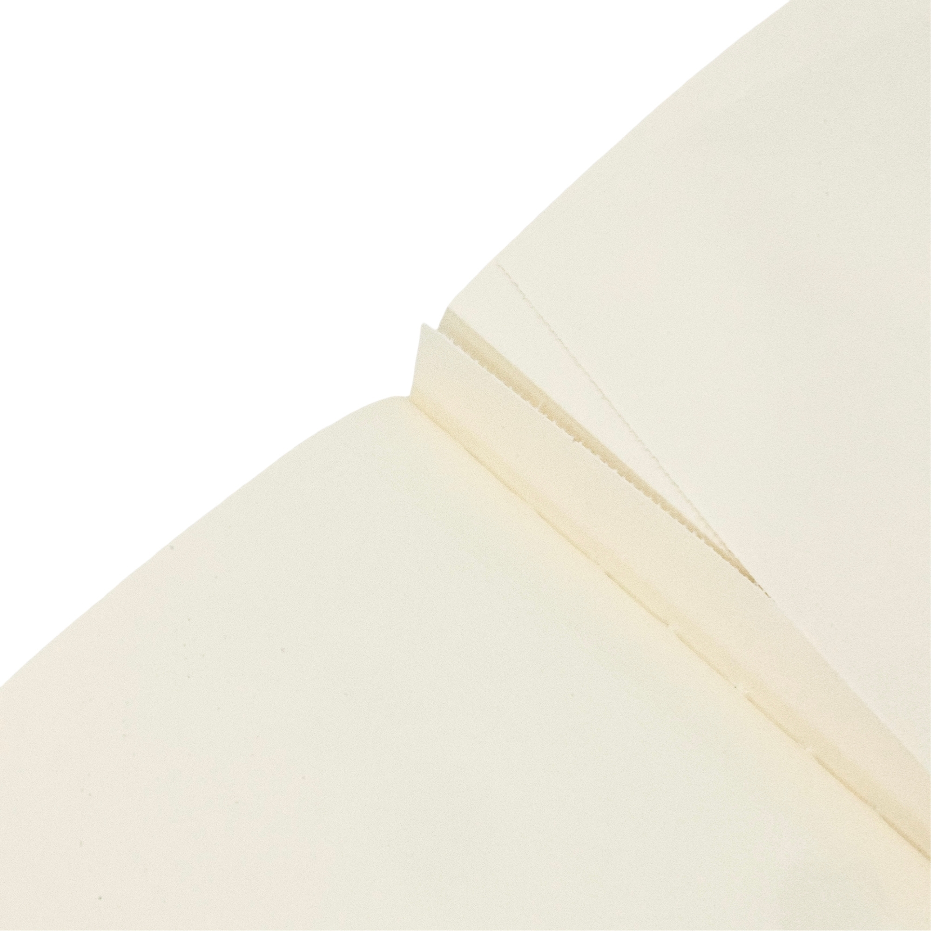 Moments of Magic Notebook A5 Unlined Softcover Cahier, 80pg, 100GSM by Paperblanks (Harry Potter Collection)