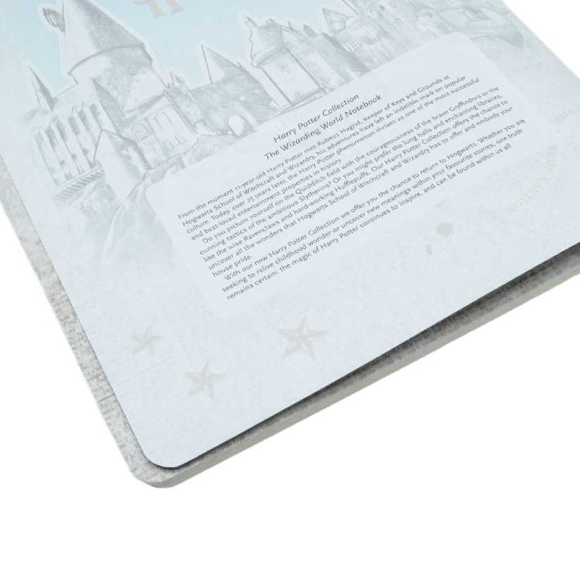 The Wizarding World Notebook A4 Lined Cahier, 80pg, 100GSM by Paperblanks (Harry Potter Collection)