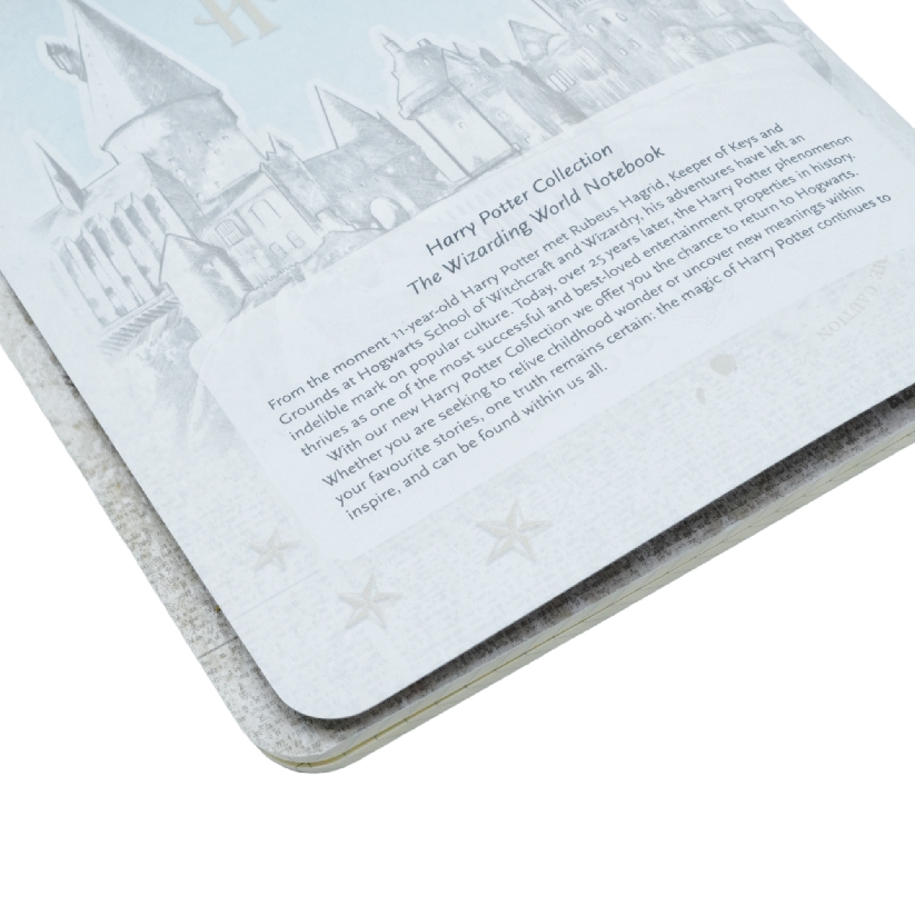 The Wizarding World Notebook A5 Lined Cahier, 80pg, 100GSM by Paperblanks (Harry Potter Collection)