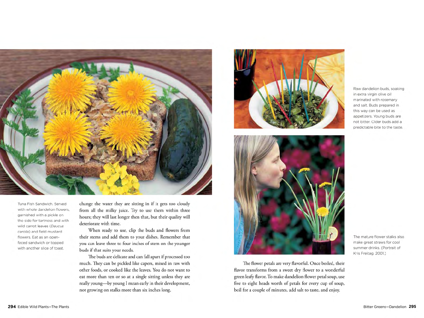 Edible Wild Plants