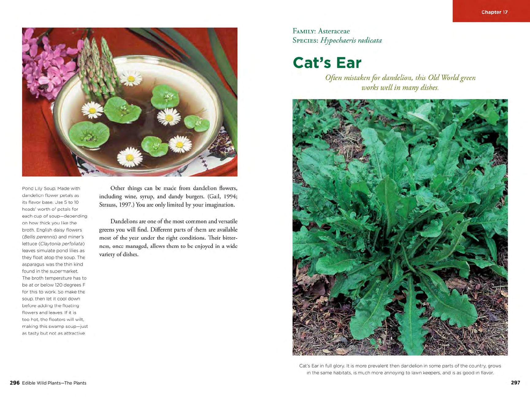 Edible Wild Plants