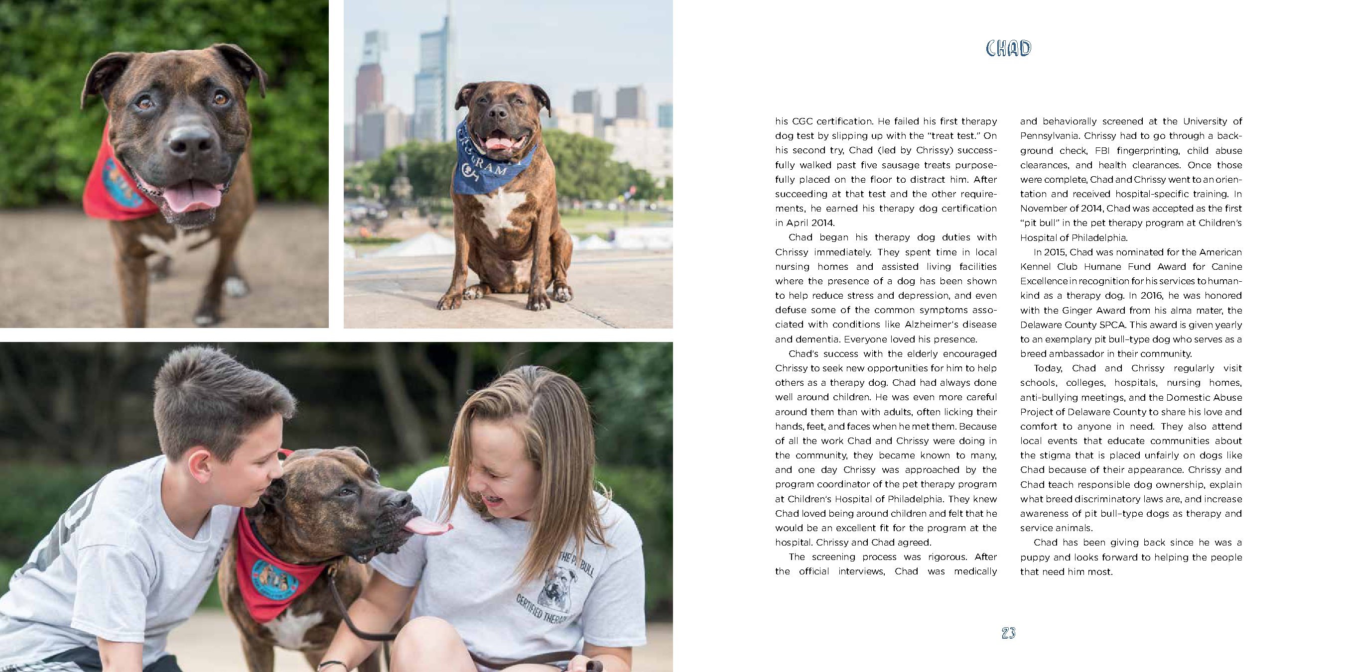 Pit Bull Heroes