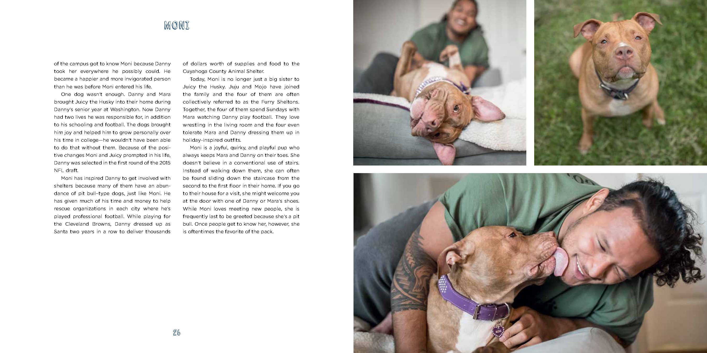 Pit Bull Heroes