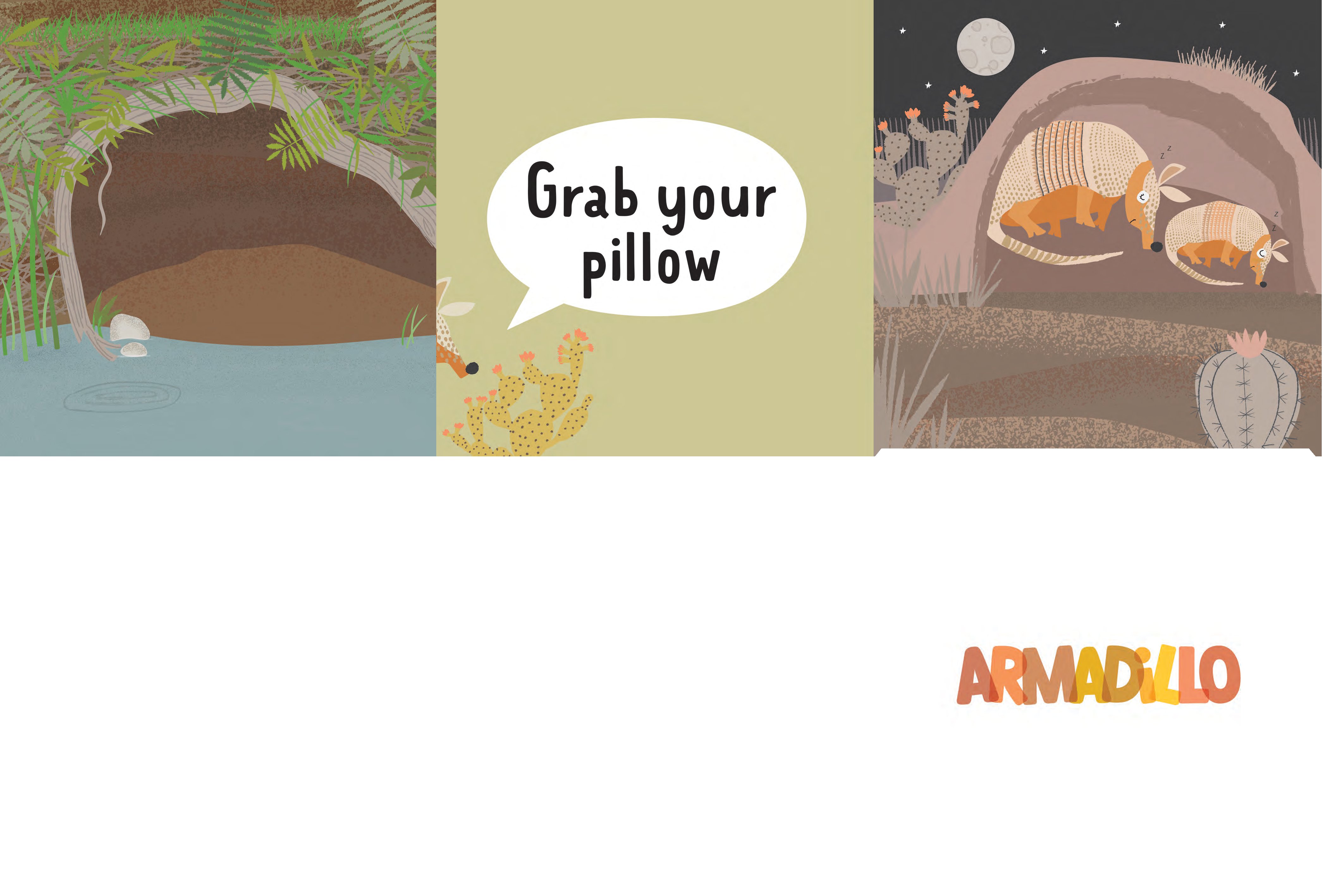 Grab Your Pillow, Armadillo