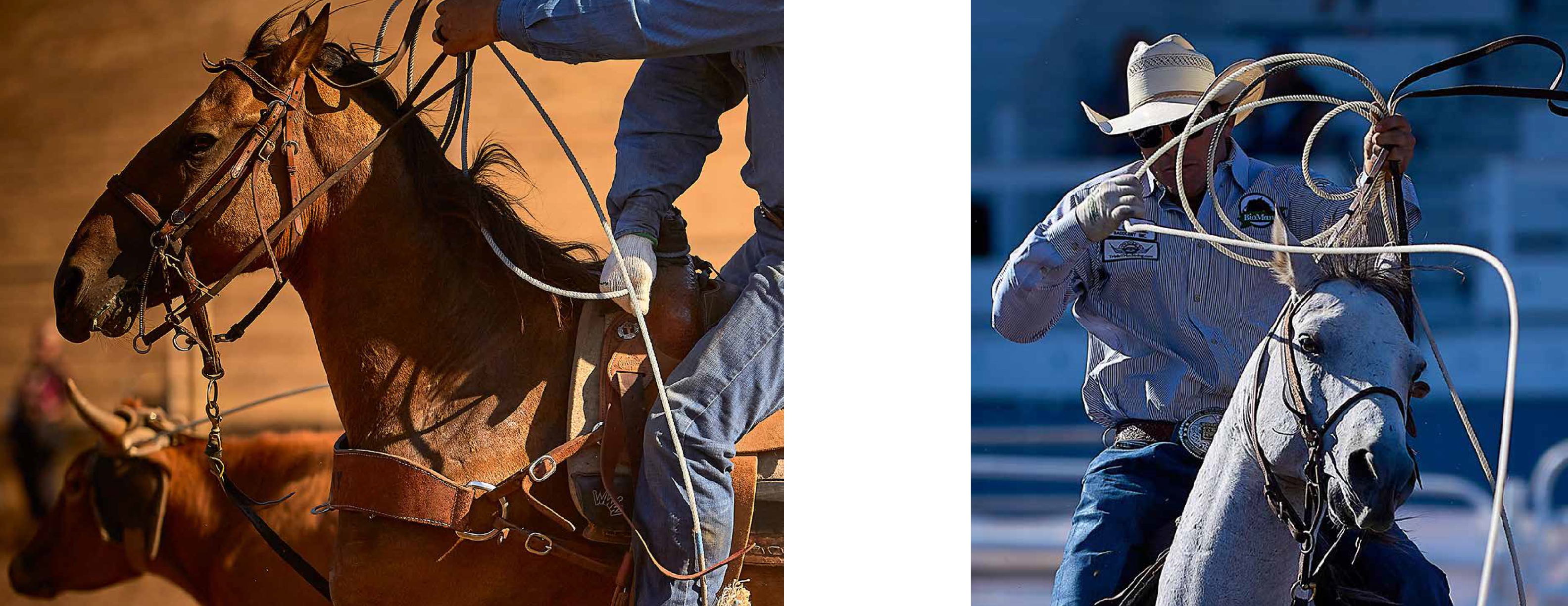 Cowboys and Rodeos