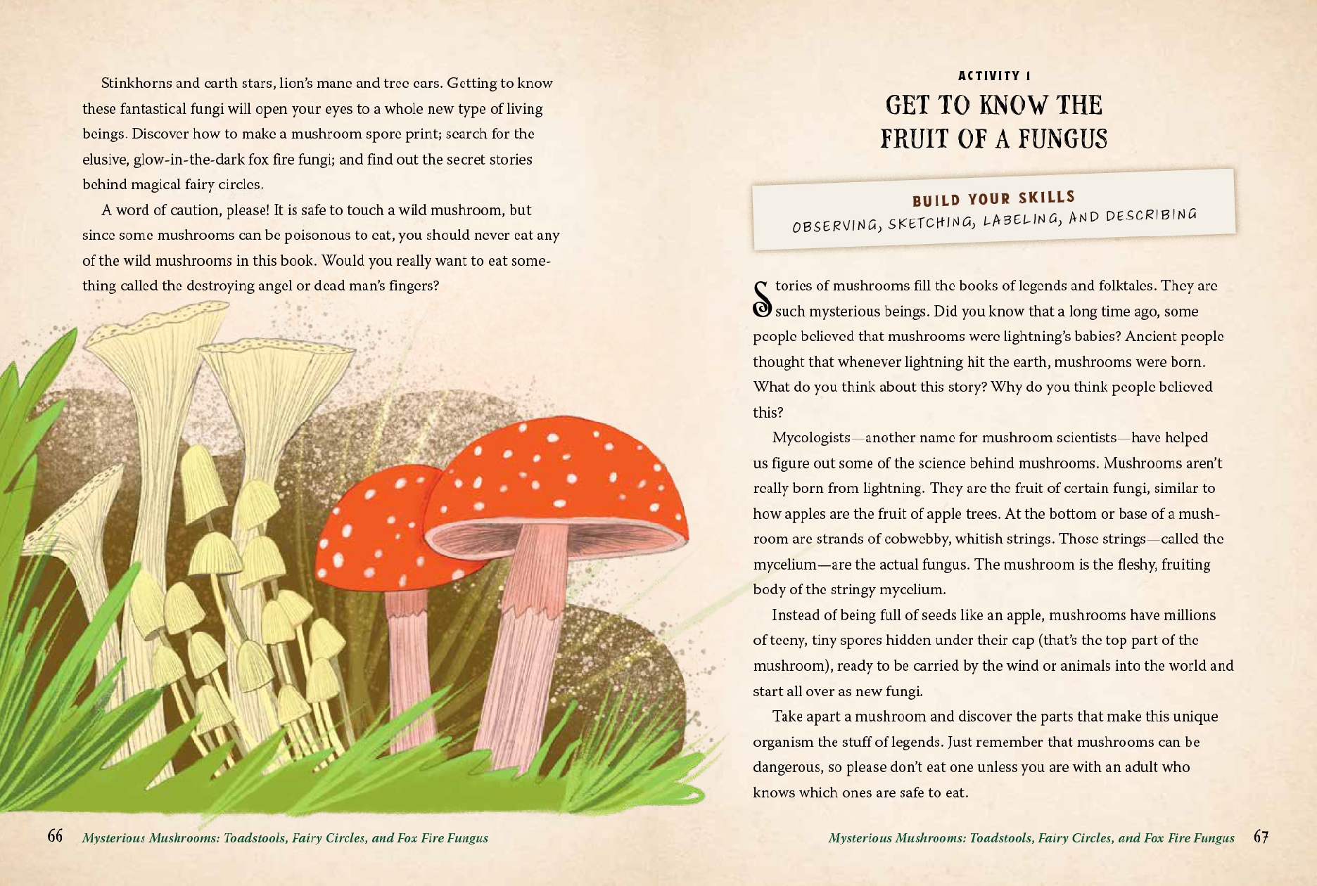 Forest Magic for Kids