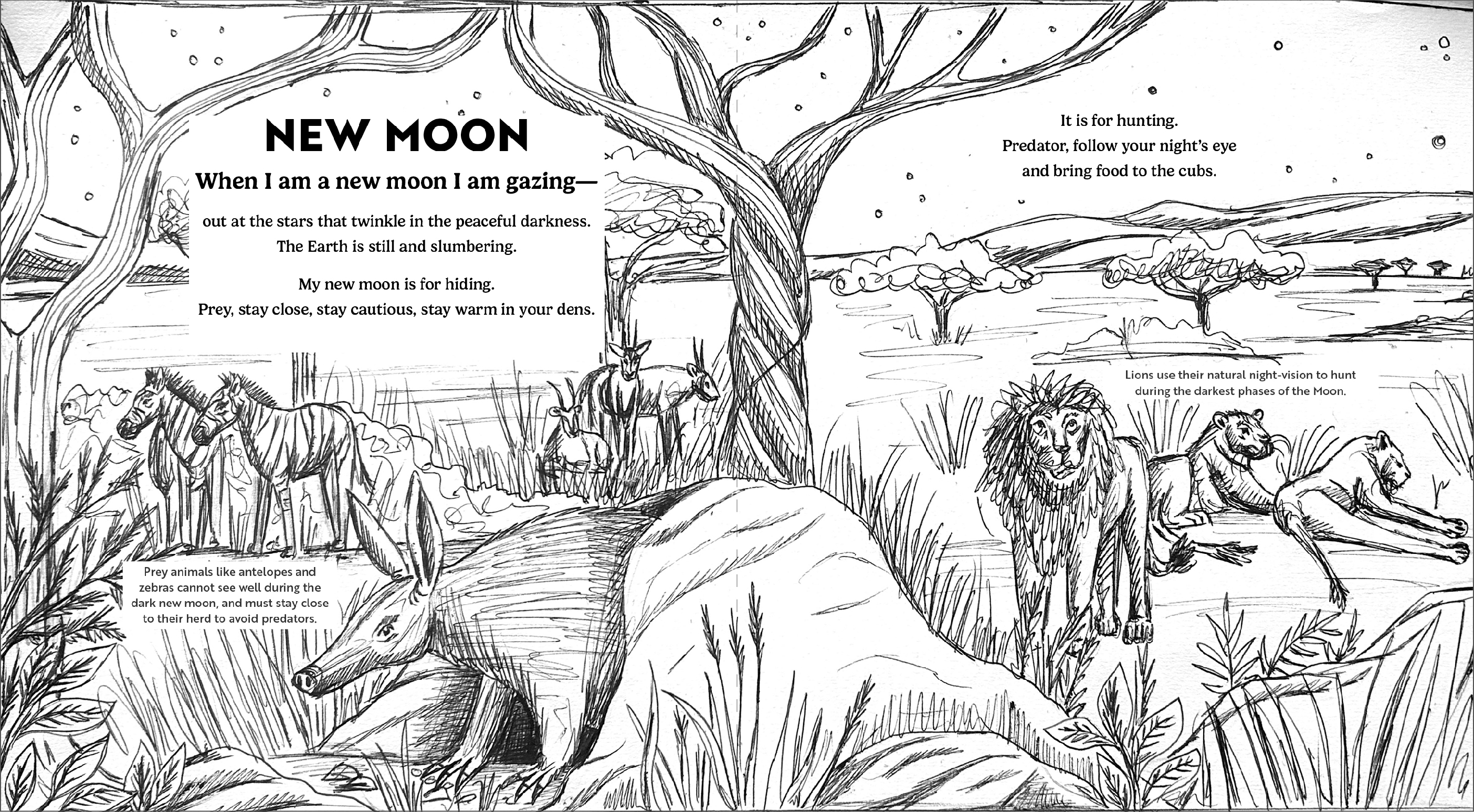 Wild Moon