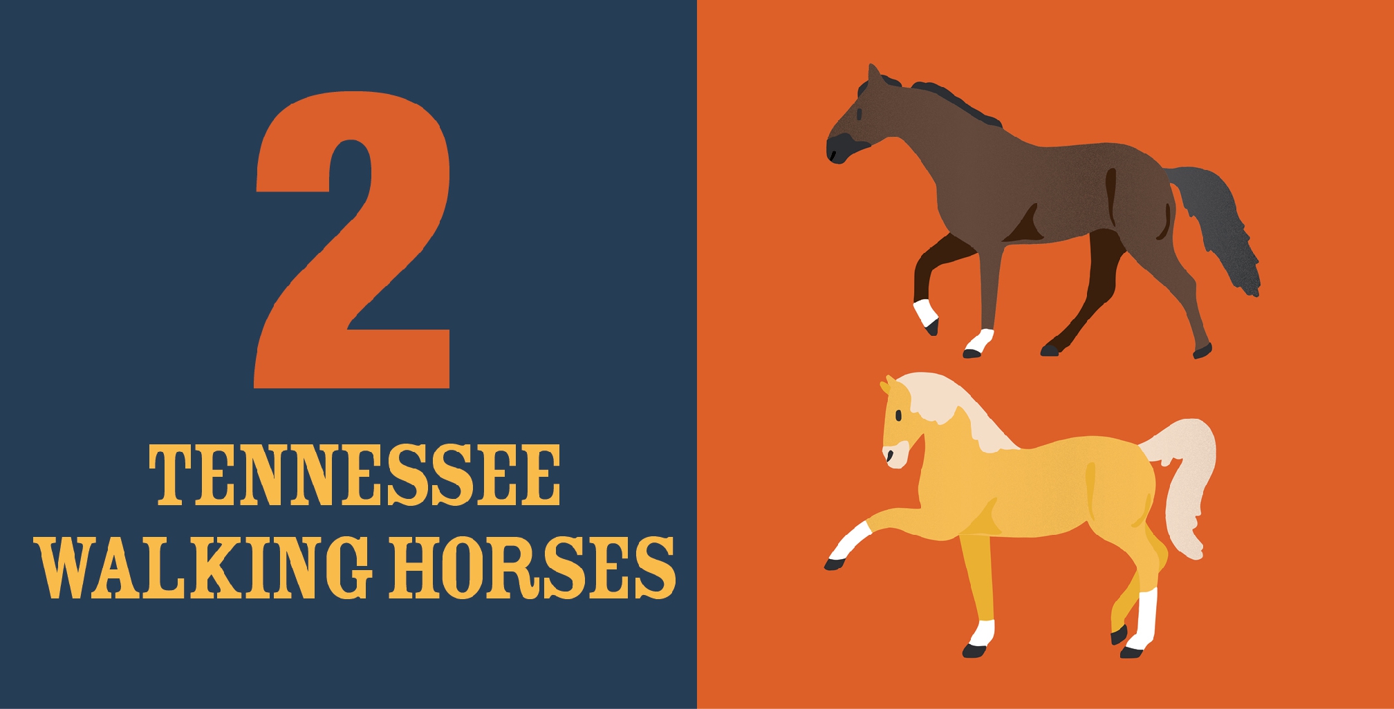 Count On Tennessee
