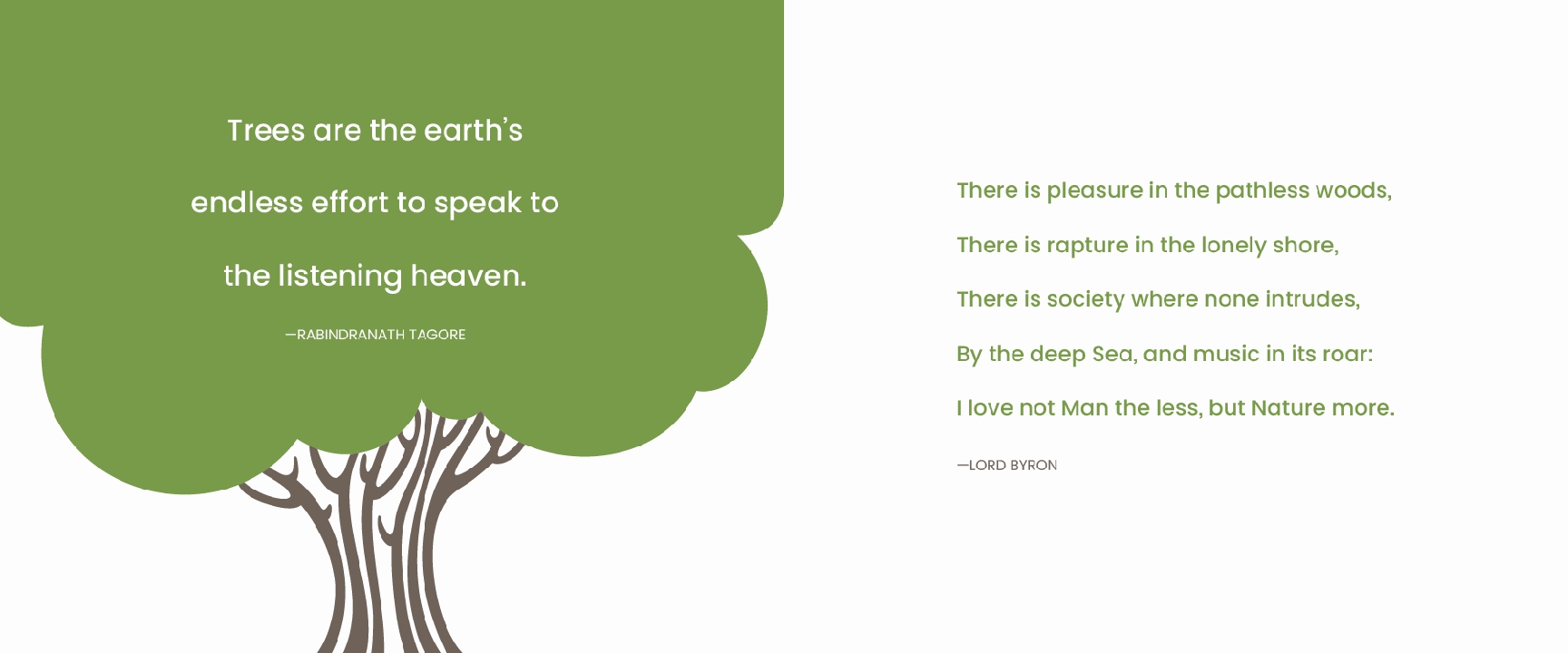 What I Know About Nature