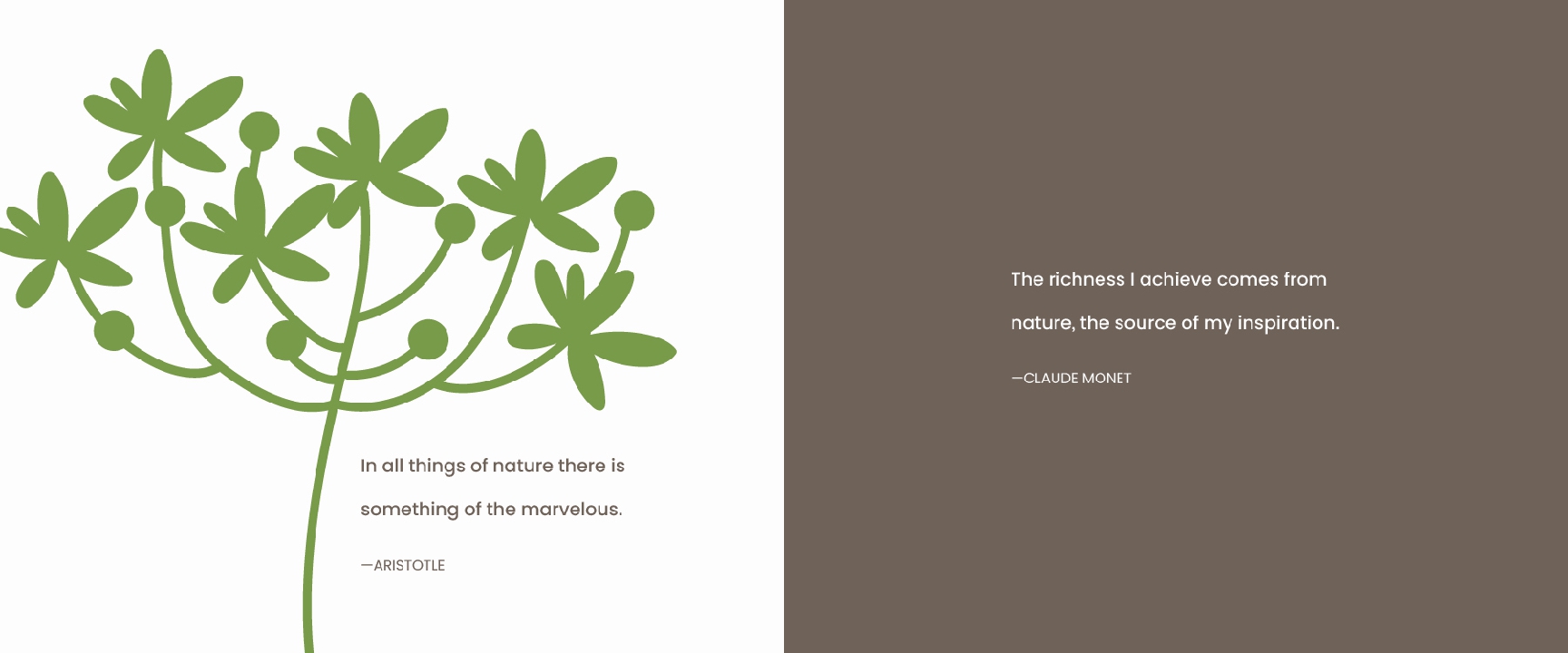 What I Know About Nature