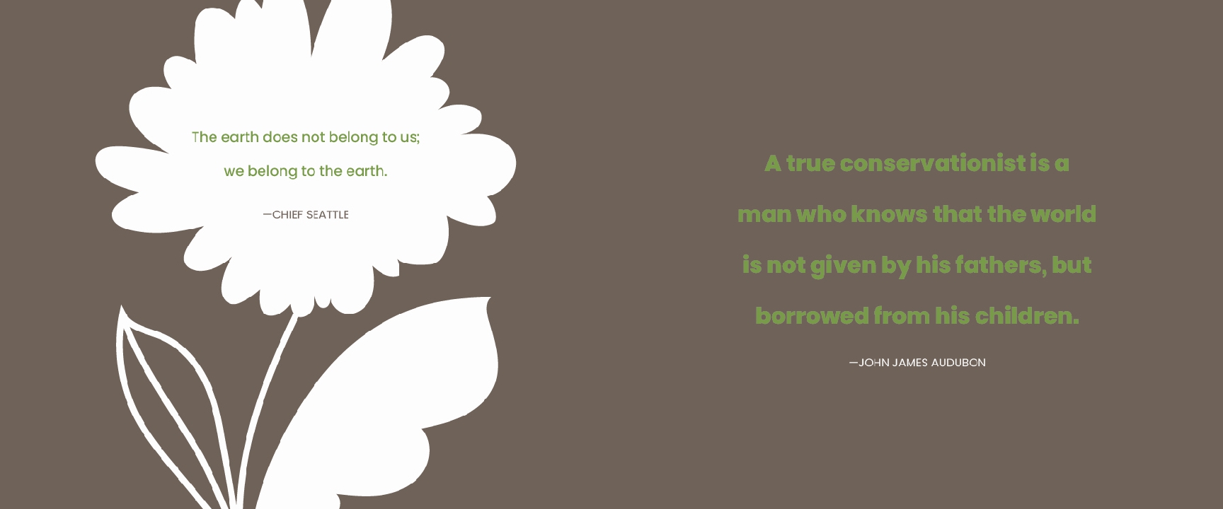What I Know About Nature