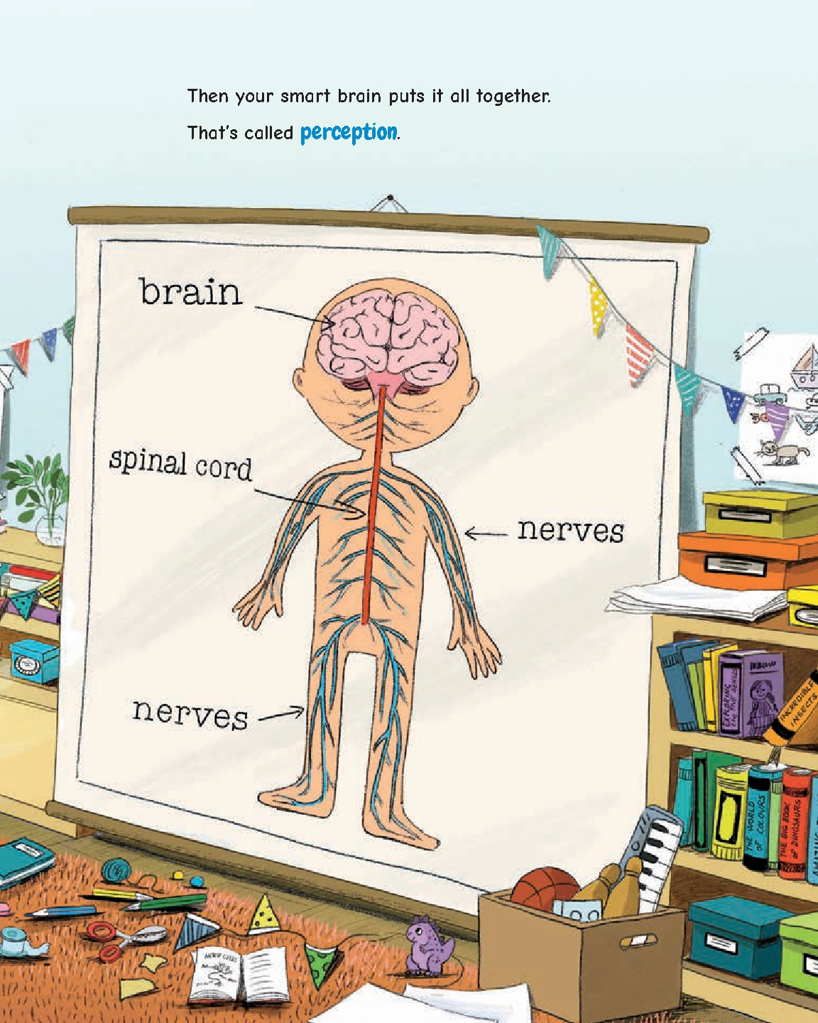 Making Sense of Your Senses