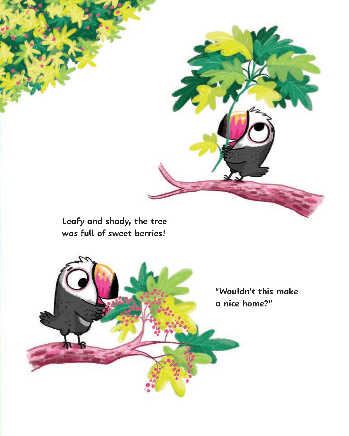 Too Many Toucans