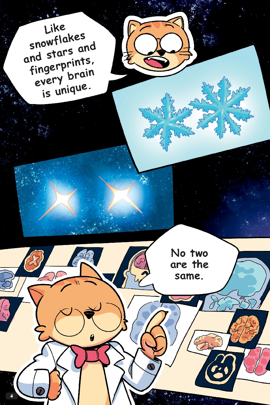 Professor Thomas Cat's Guide to Understanding the Human Brain