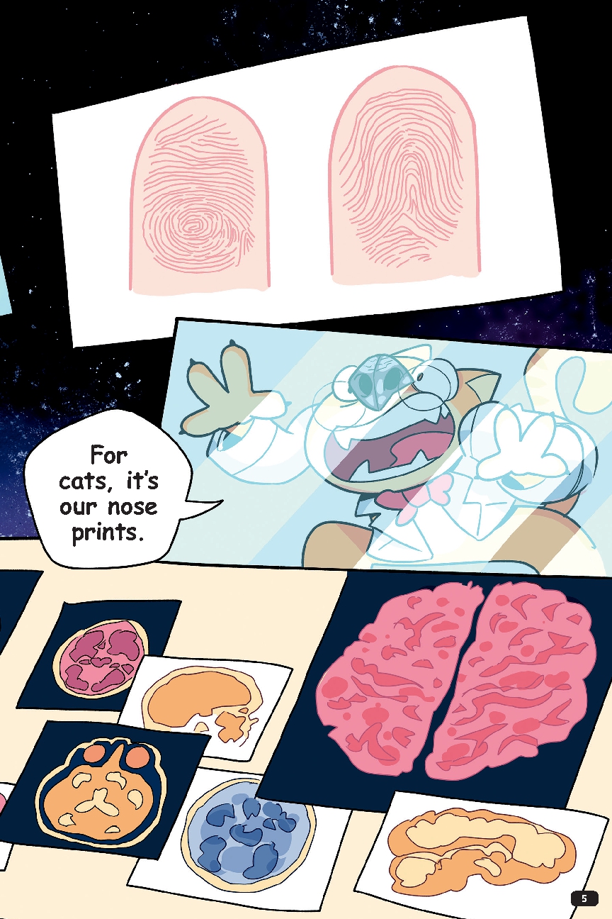 Professor Thomas Cat's Guide to Understanding the Human Brain