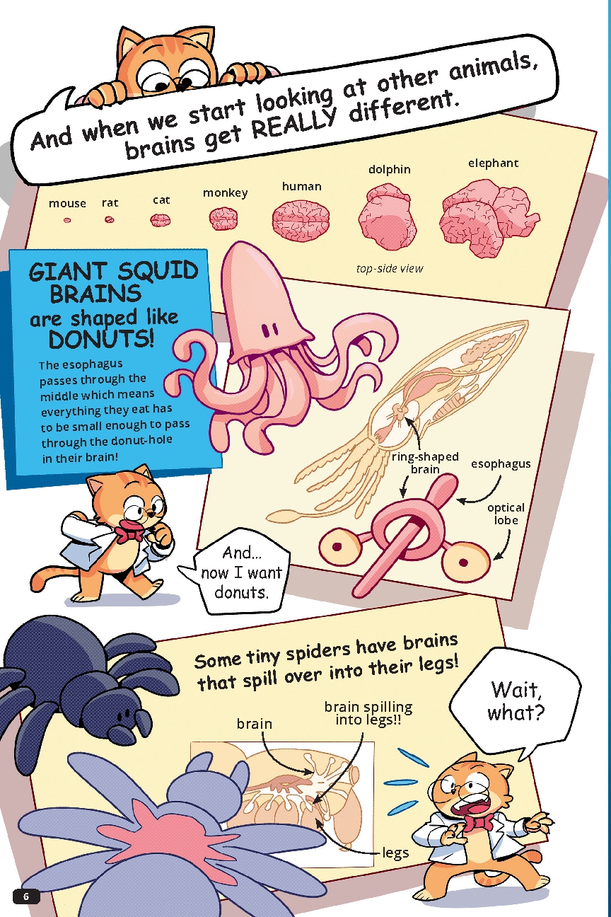 Professor Thomas Cat's Guide to Understanding the Human Brain