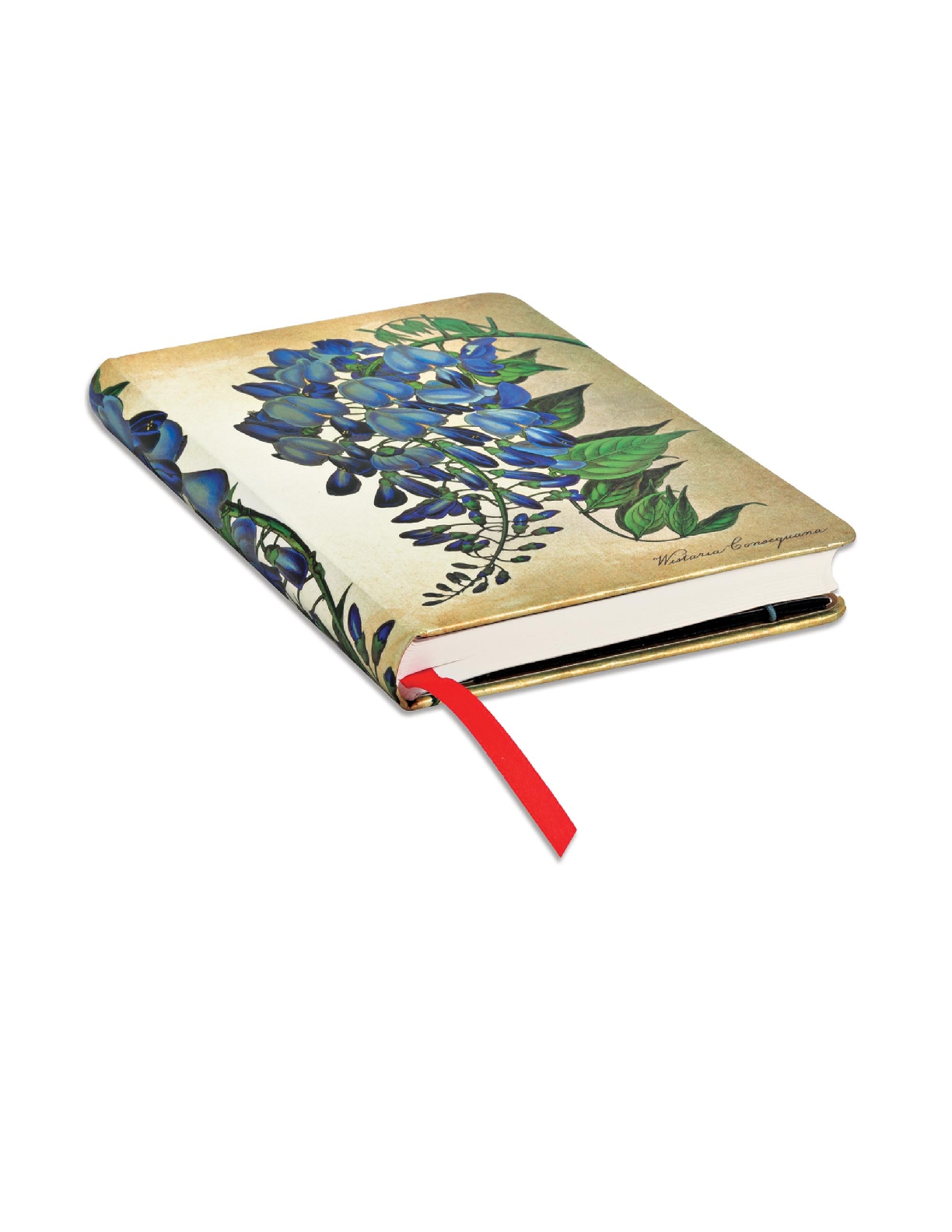 Blooming Wisteria, Painted Botanicals, Hardcover, Mini, Unlined, Elastic Band Closure, 176 Pg, 85 GSM