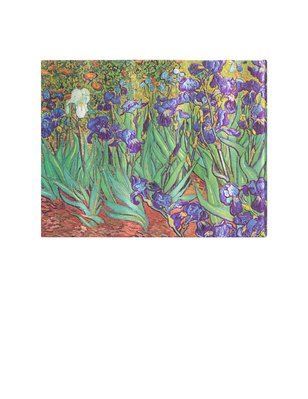 Van Gogh's Irises, Guest Book, Unlined, 144 Pg, 120 GSM
