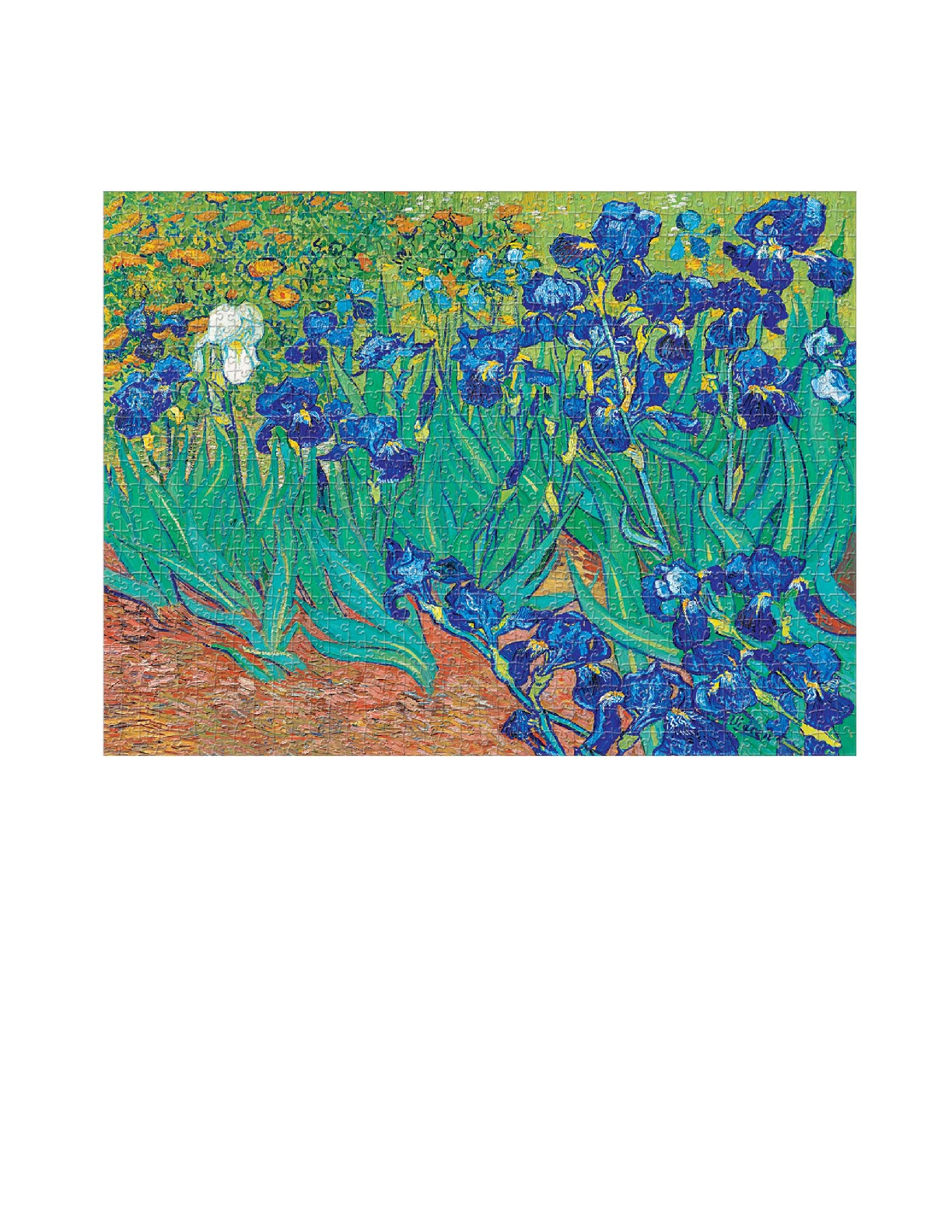 Van Gogh's Irises, Puzzle, 1000 PC