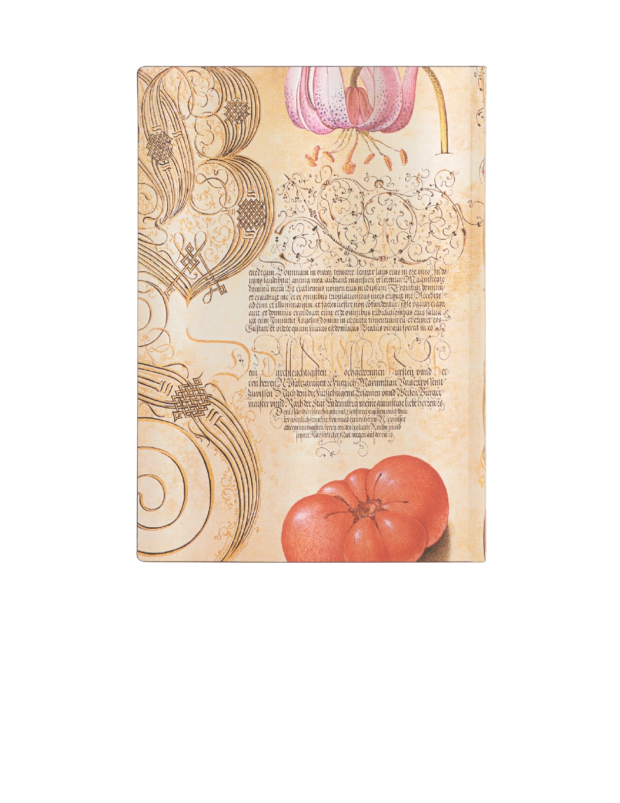 Lily & Tomato Midi Unlined Softcover Journal, 176pg, 100GSM by Paperblanks (Mira Botanica)