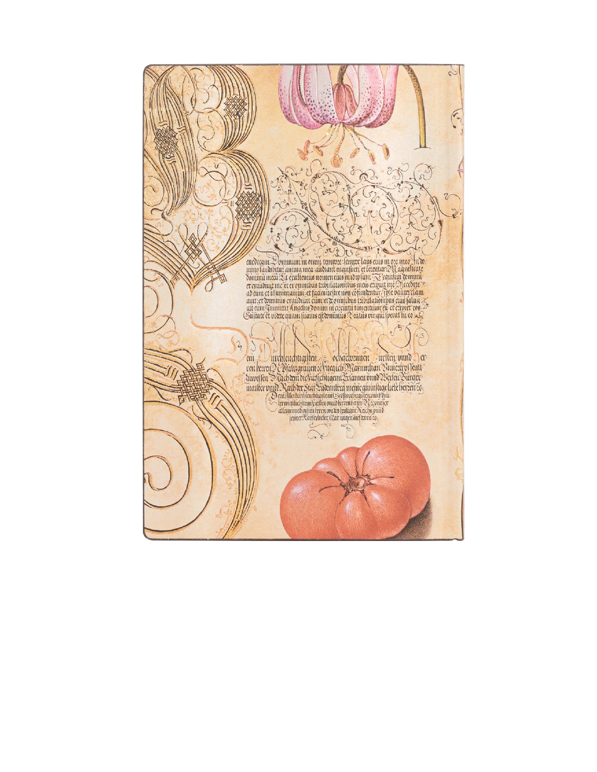 Lily & Tomato Mini Lined Softcover Journal, 208pg, 80GSM by Paperblanks (Mira Botanica)