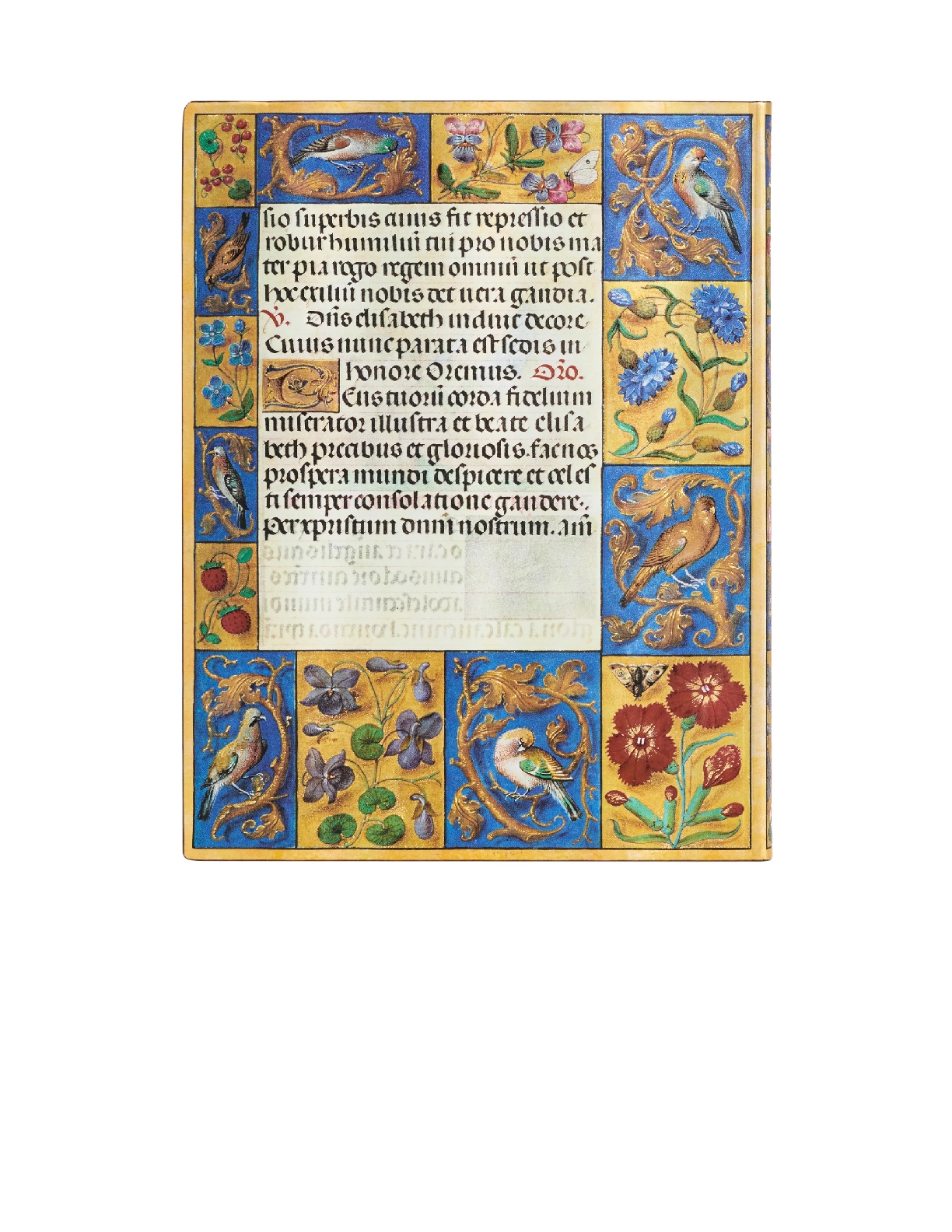Spinola Hours, Ancient Illumination, Softcover Flexi, Ultra, Unlined, Elastic Band Closure, 176 Pg, 100 GSM