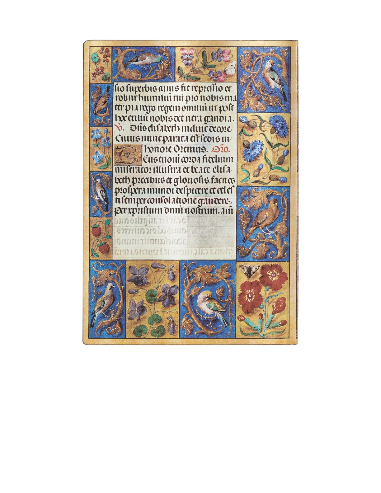 Spinola Hours, Ancient Illumination, Softcover Flexi, Midi, Lined, Elastic Band Closure, 176 Pg, 100 GSM
