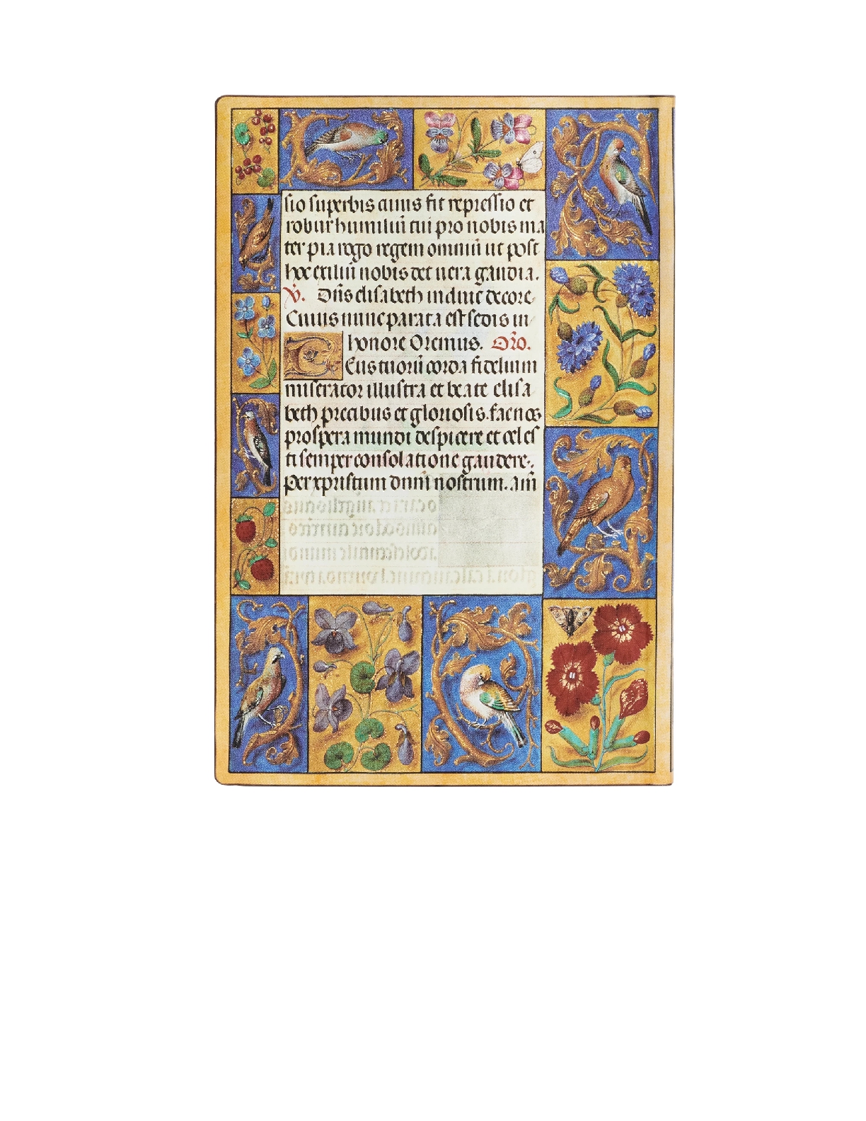 Spinola Hours, Ancient Illumination, Softcover Flexi, Mini, Lined, Elastic Band Closure, 208 Pg, 80 GSM