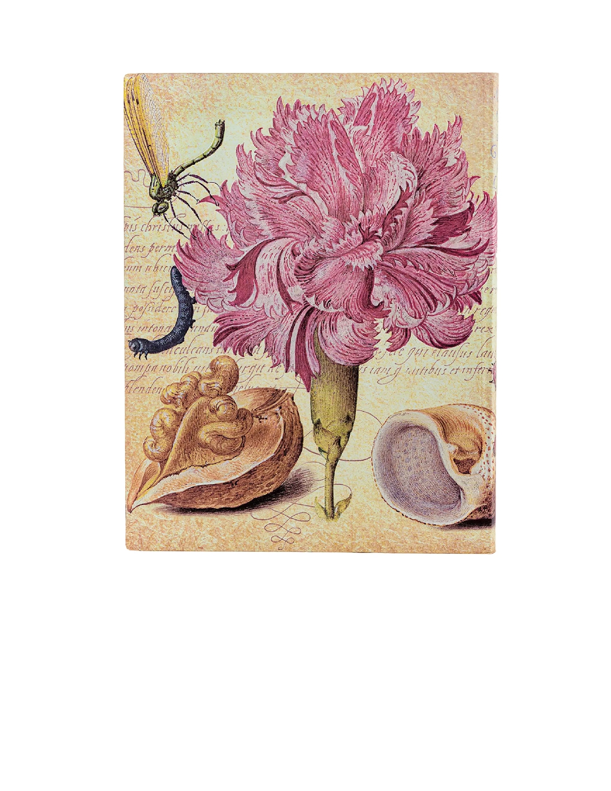 Pink Carnation, Mira Botanica, Softcover Flexis, Ultra, Lined, Elastic Band, 176 Pg, 100 GSM