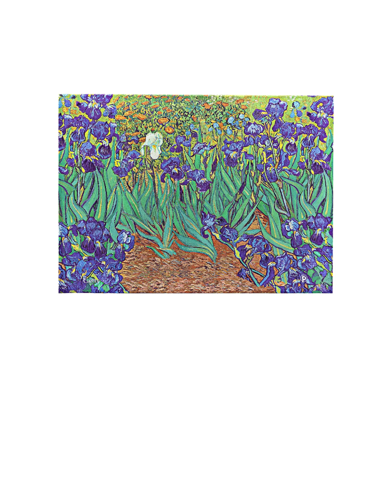 Van Gogh's Irises, Van Gogh's Irises, Document Folders, Document Folder, Wrap