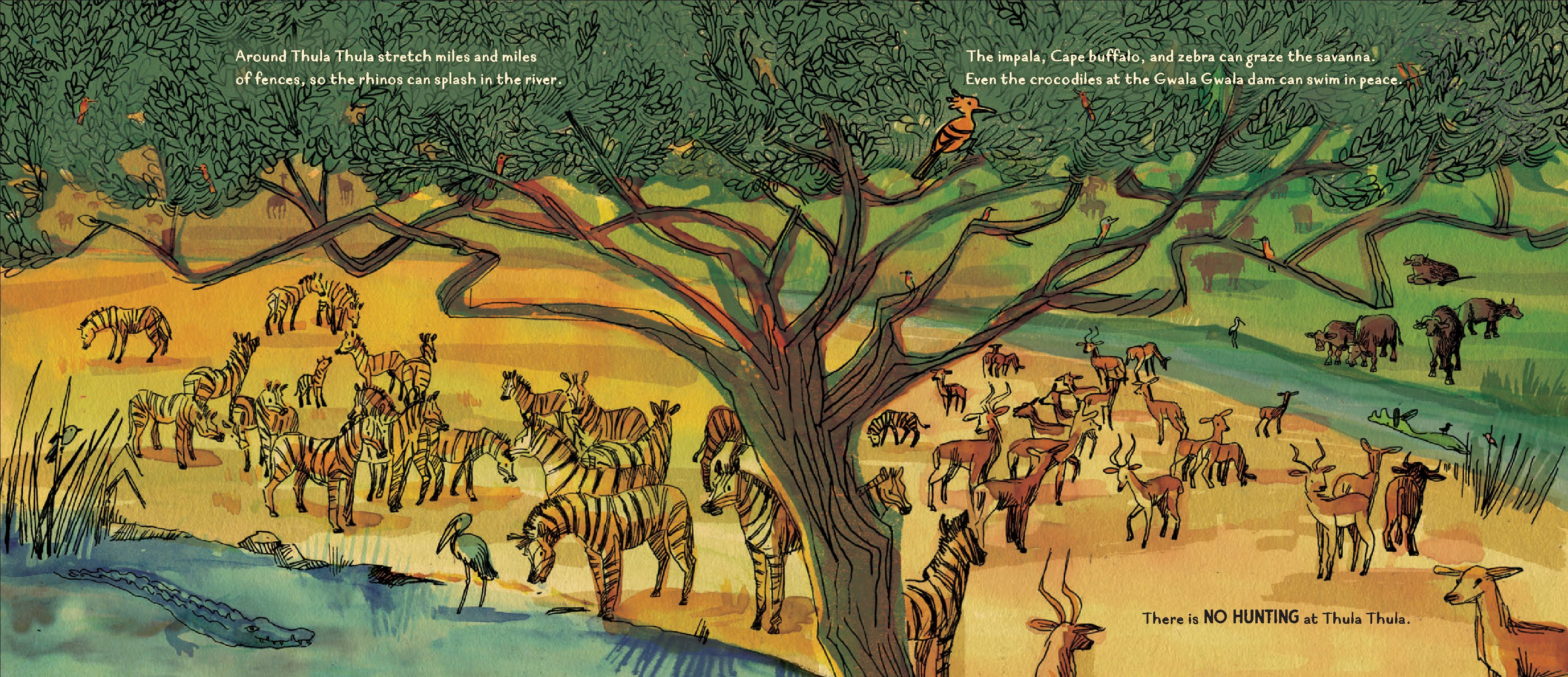 The Elephants Come Home