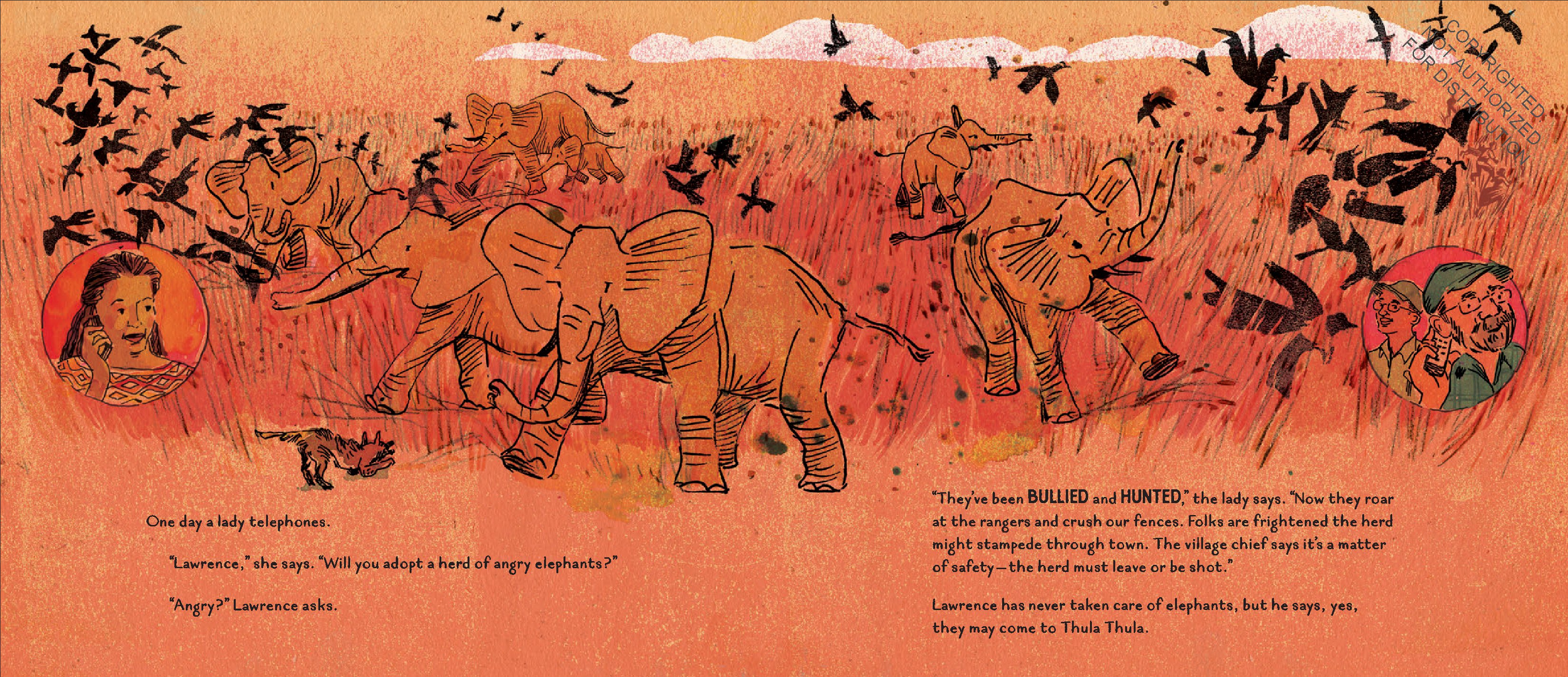 The Elephants Come Home
