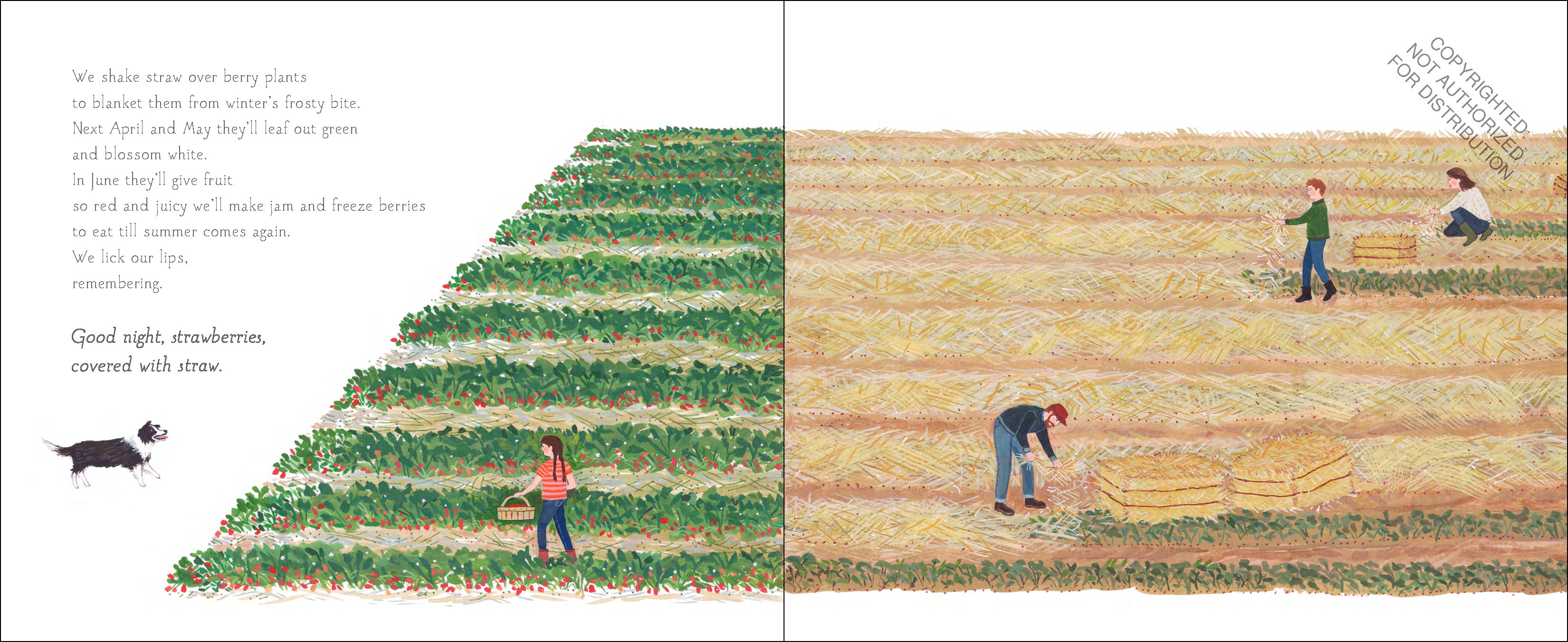 Sleep Tight Farm