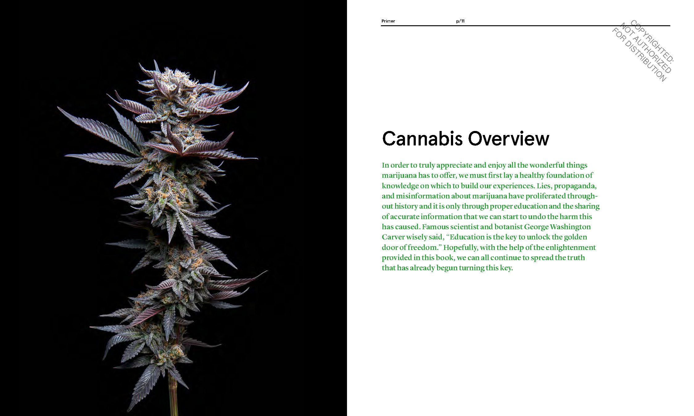 Green: A Field Guide to Marijuana