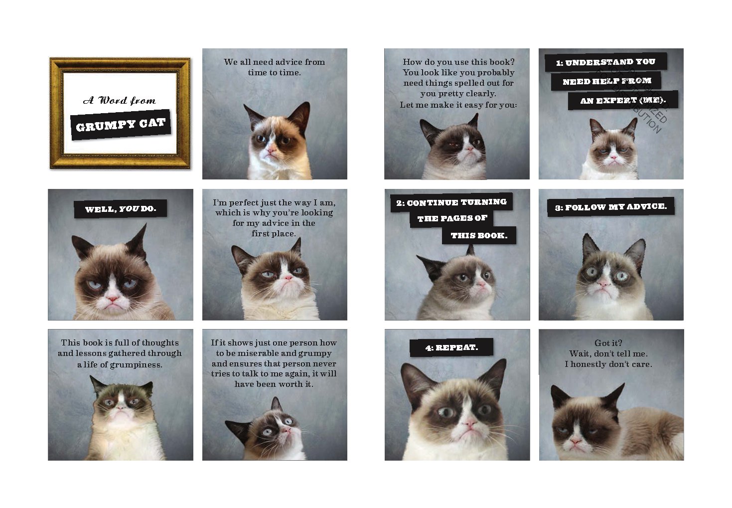 The Grumpy Guide to Life