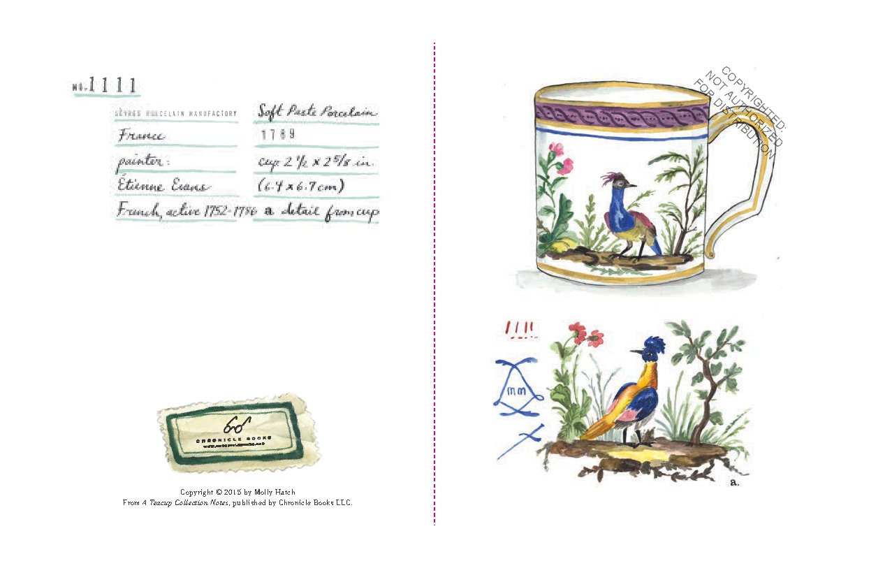 A Teacup Collection Notes