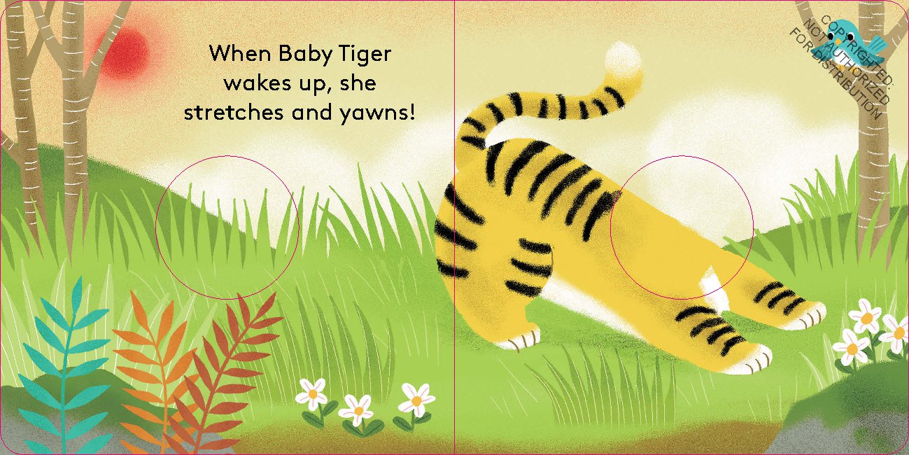 Baby Tiger: Finger Puppet Book