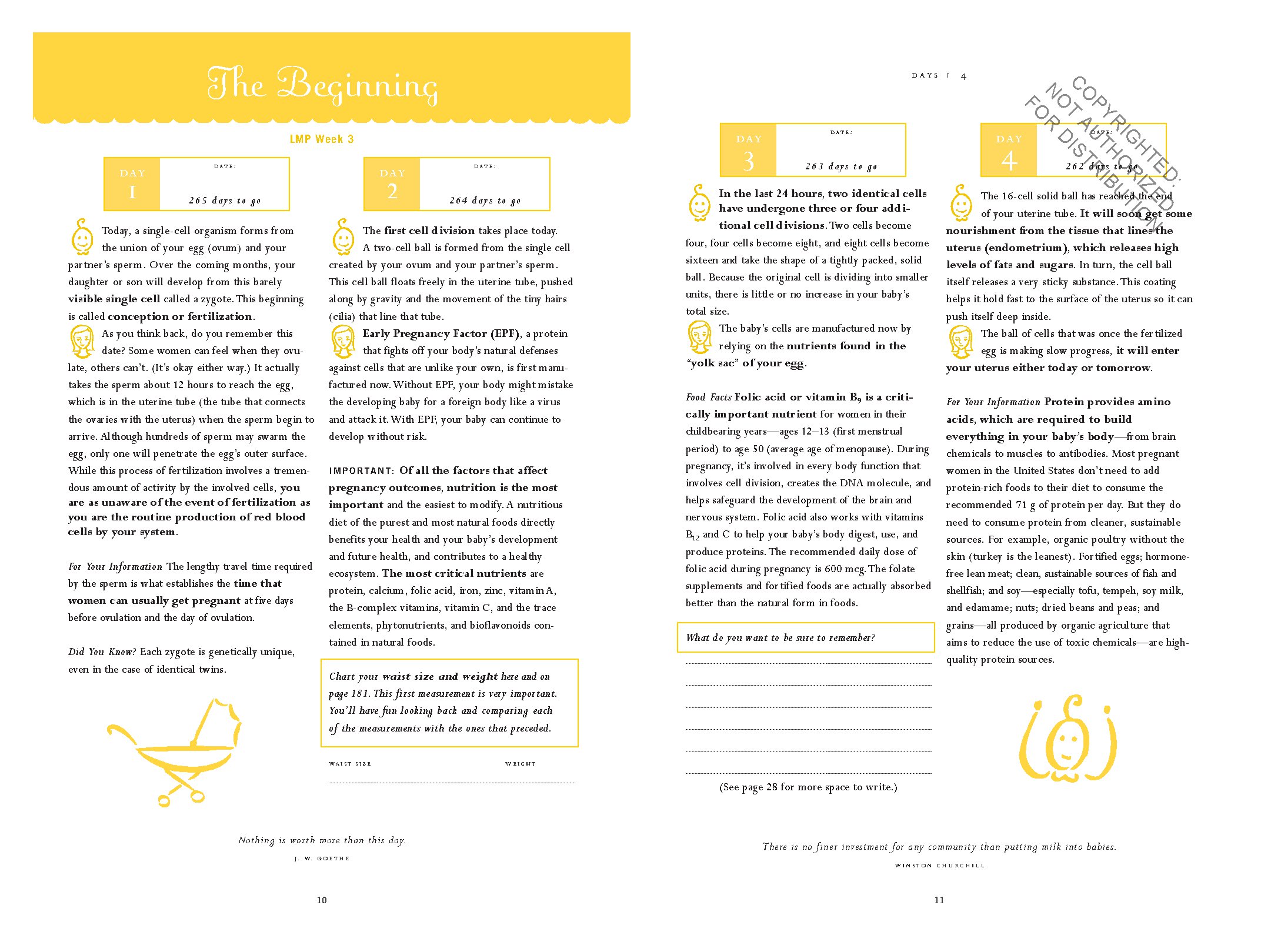 The Pregnancy Journal, 4th Edition: A Day-Today Guide to a Healthy and Happy Pregnancy (Pregnancy Books, Pregnancy Journal, Gifts for First Time Moms)