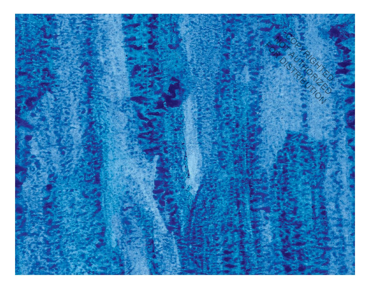 The World of Eric Carle(TM) Animal Counting Cards