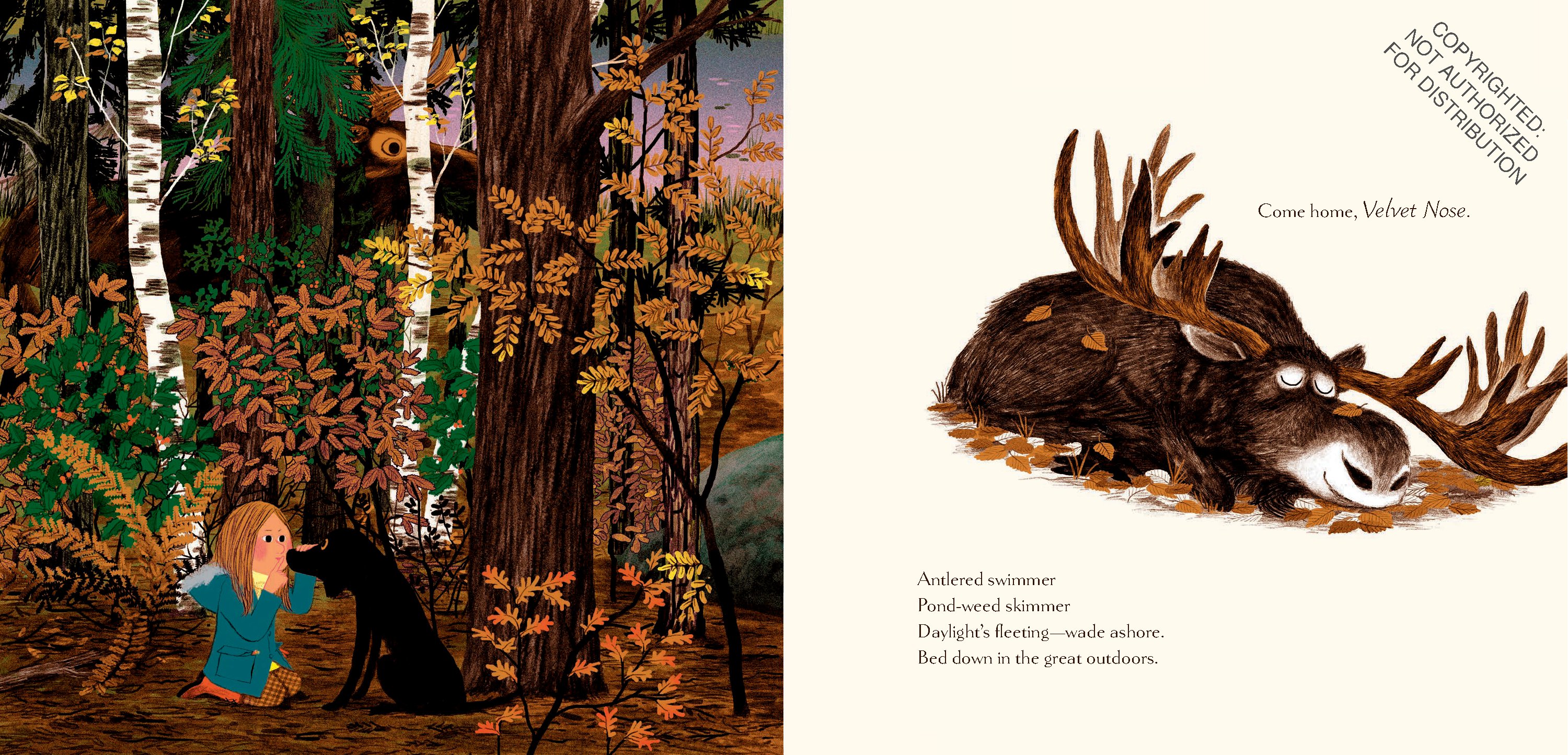 Woodland Dreams