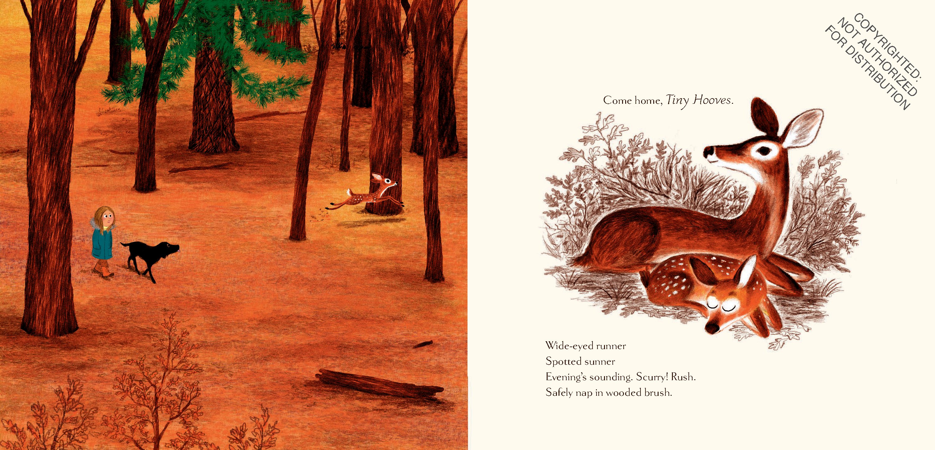 Woodland Dreams