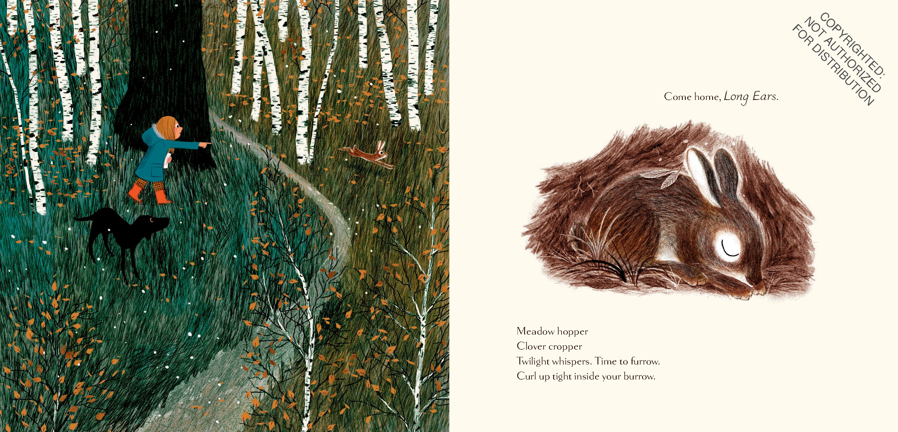 Woodland Dreams